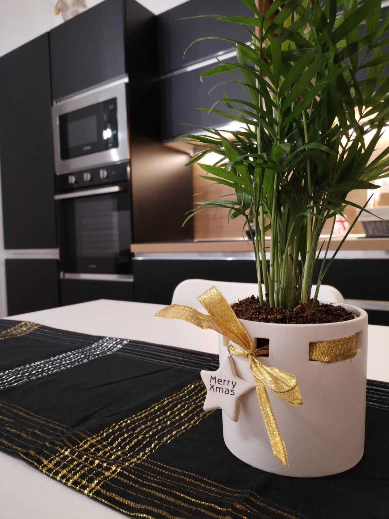 Central Loft Carina Ideale Per Visitare Il Centro Di Torino 外观 照片